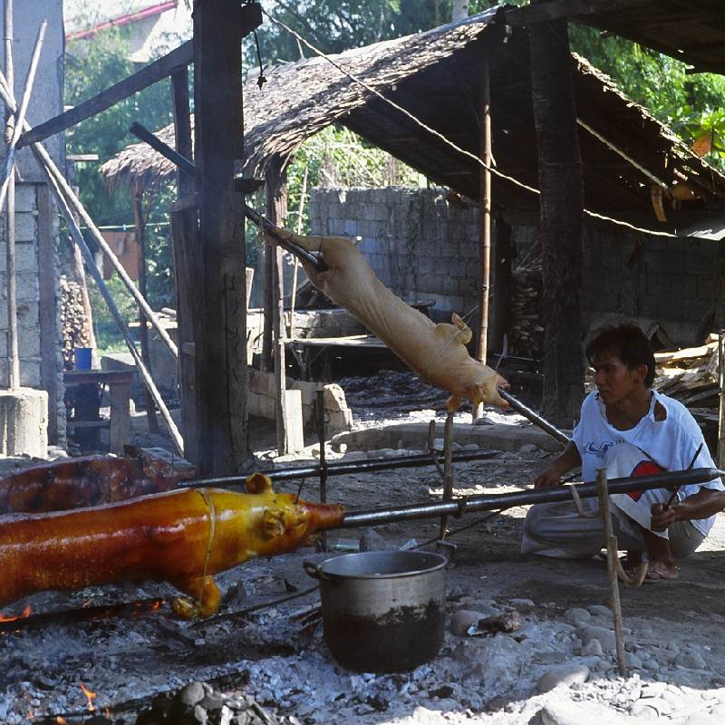 A family lechonaria, which prepares smoked pork in the traditional manner, in Dagupon, Pangasinan province.